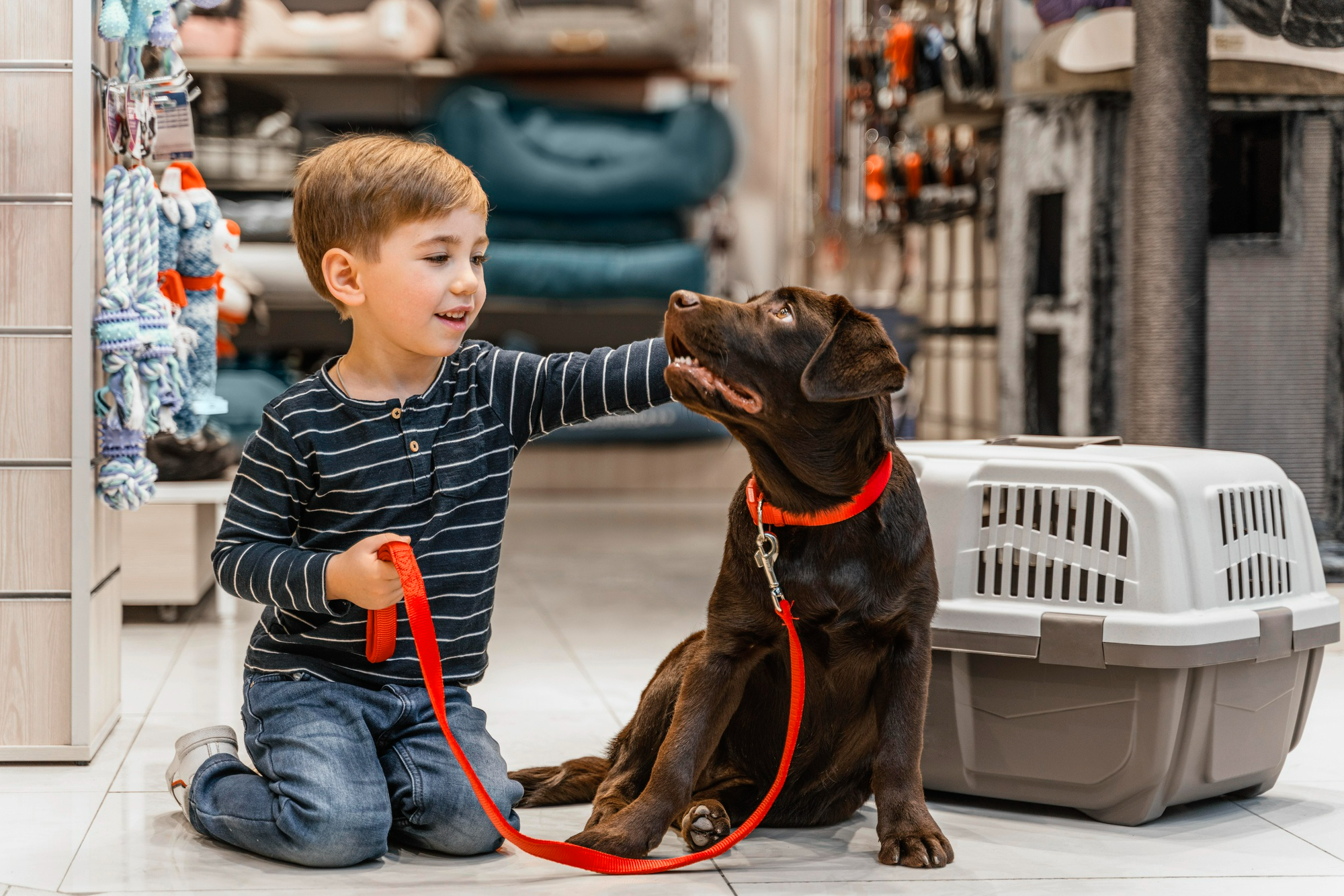 Boy with dog in store